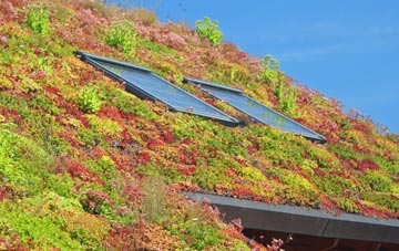 Hollow Oak living roof systems