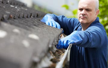 cleaning and inspecting Hollow Oak roofs