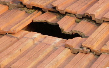 roof repair Hollow Oak, Dorset