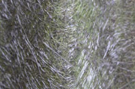 Hollow Oak fibreglass roof work