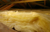Hollow Oak pitch roof insulation